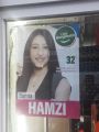 Hamzi2018.jpg