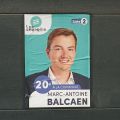 Balcaenmarc2024.jpg